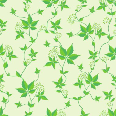 Sorunsuz doku yabani üzüm.