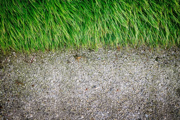 Våren gräs bakgrund — Stockfoto