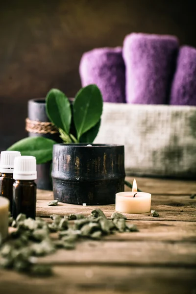 DaySpa natur produkter — Stockfoto