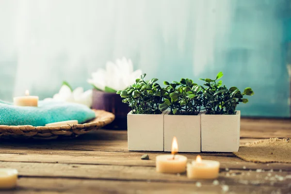 Ambiente de spa y bienestar con flores — Foto de Stock