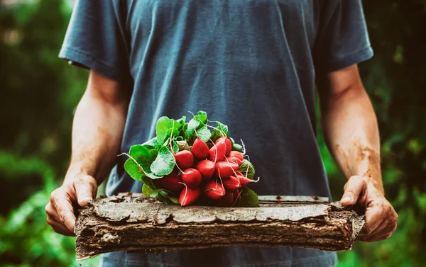 야채와 함께 농부 — 스톡 사진