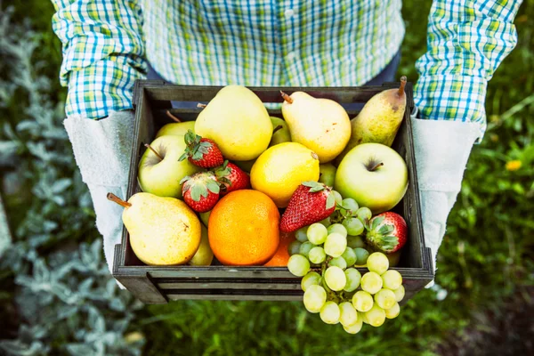 Rolnik z misą owoców — Zdjęcie stockowe