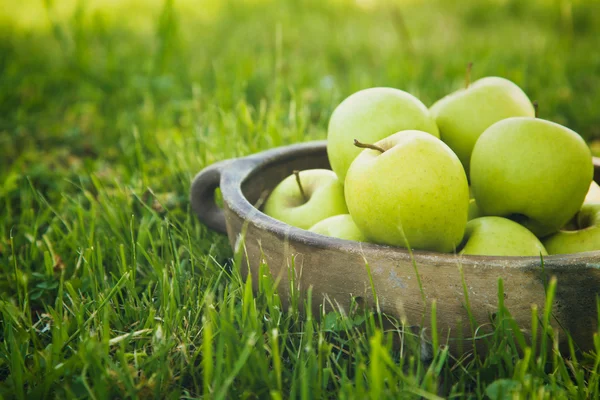 Čerstvá jablka v přírodě — Stock fotografie