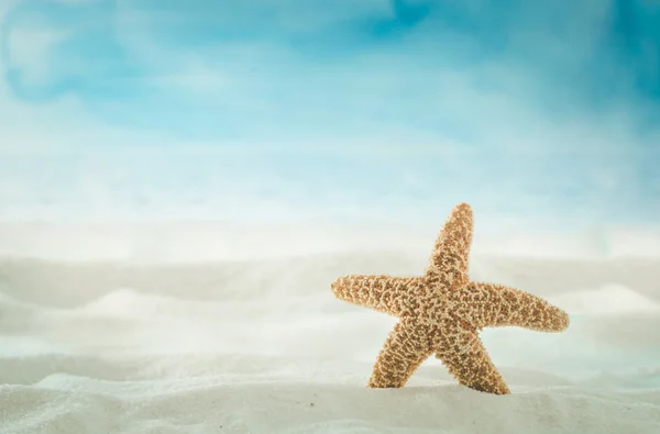 Achtergrond van de zomer met met zand — Stockfoto