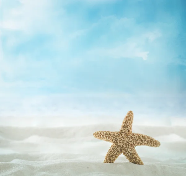 Achtergrond van de zomer met met zand — Stockfoto