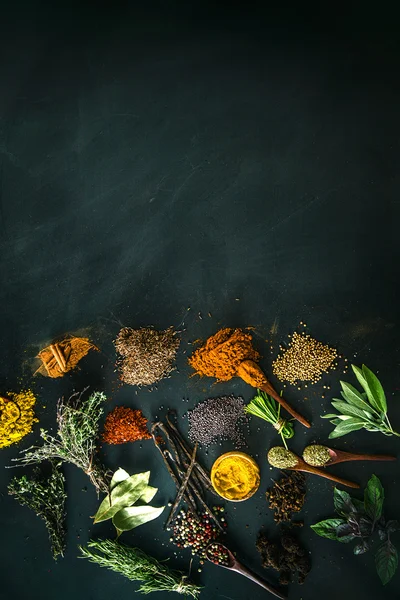 Spices and herbs — Stock Photo, Image