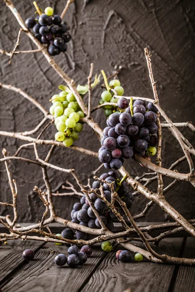 Fresh grapes on wood — Stock Photo, Image