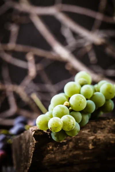 Uvas frescas em madeira — Fotografia de Stock
