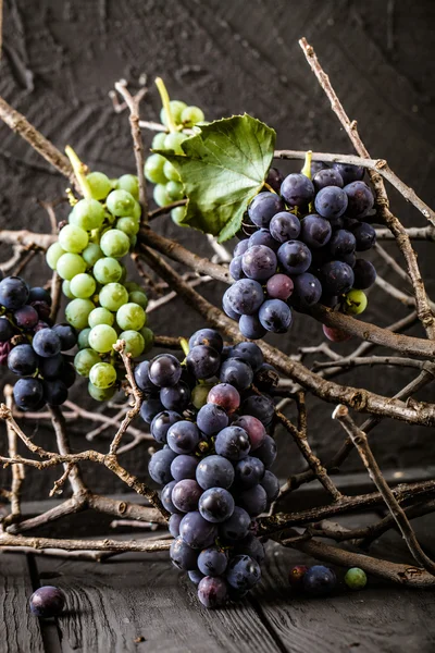 Verse druiven op hout — Stockfoto