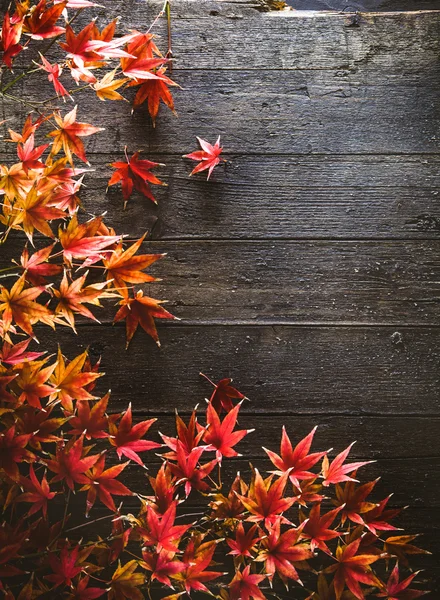 Fall red leaves on wood — Stock Photo, Image