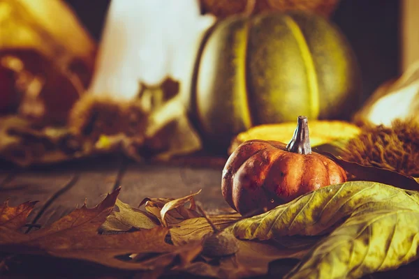 Thanksgiving herfst achtergrond — Stockfoto