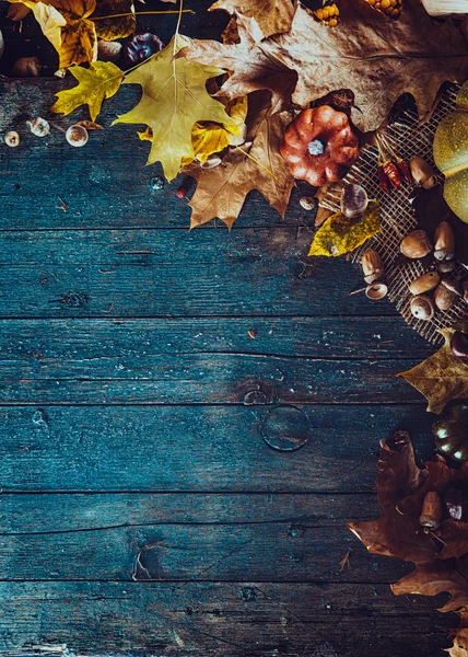 Fondo otoño Acción de Gracias —  Fotos de Stock