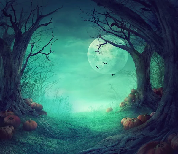 Spooky Halloween Forest — Stockfoto
