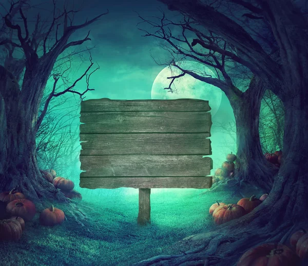 Gruselwald zu Halloween — Stockfoto