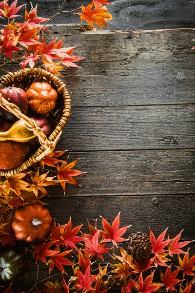 Foglie rosso autunno su legno — Foto Stock