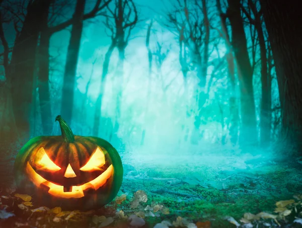 Halloween pompoen in bos — Stockfoto