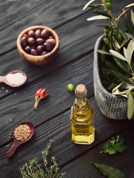 Ingredientes mediterrânicos — Fotografia de Stock