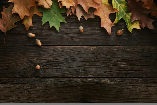 Autumn background — Stock Photo, Image