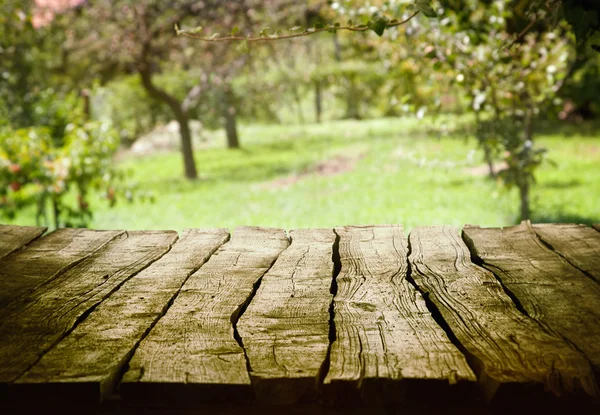 Fundo da primavera — Fotografia de Stock