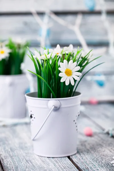 Decorazione primavera — Foto Stock