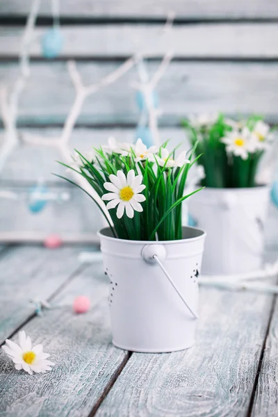 Decorazione primavera — Foto Stock