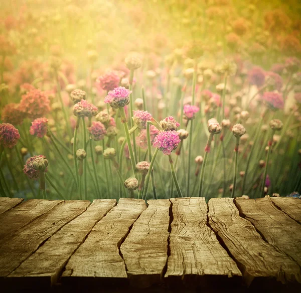 Flower background — Stock Photo, Image