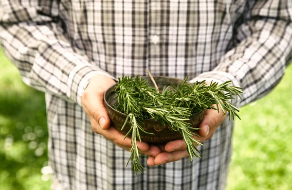 Agricoltore con rosmarino — Foto Stock