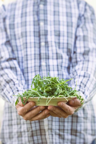 Salada de foguete — Fotografia de Stock