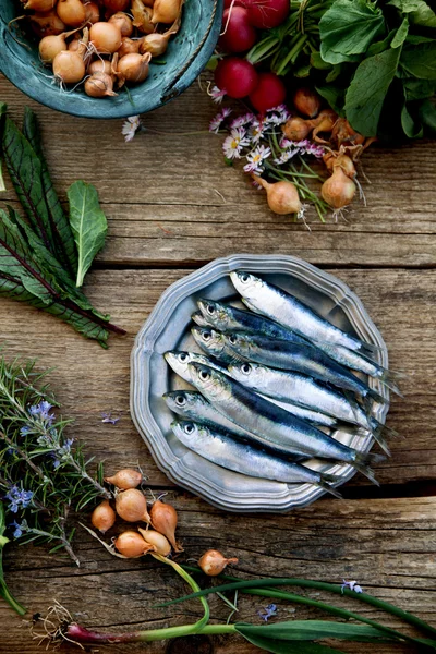 Färska sardiner — Stockfoto