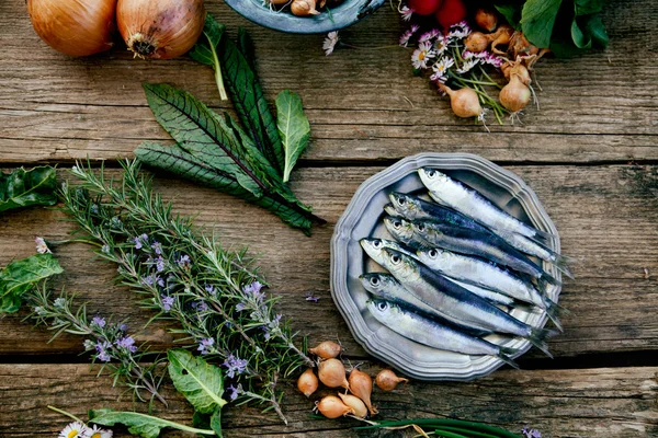 Sardine fresche — Foto Stock