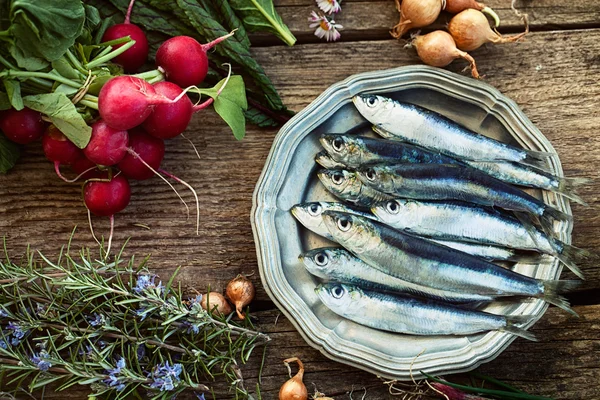 Sardinas frescas — Foto de Stock