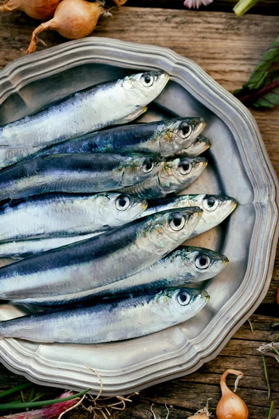 Sardinas frescas — Foto de Stock