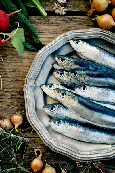 Färska sardiner — Stockfoto