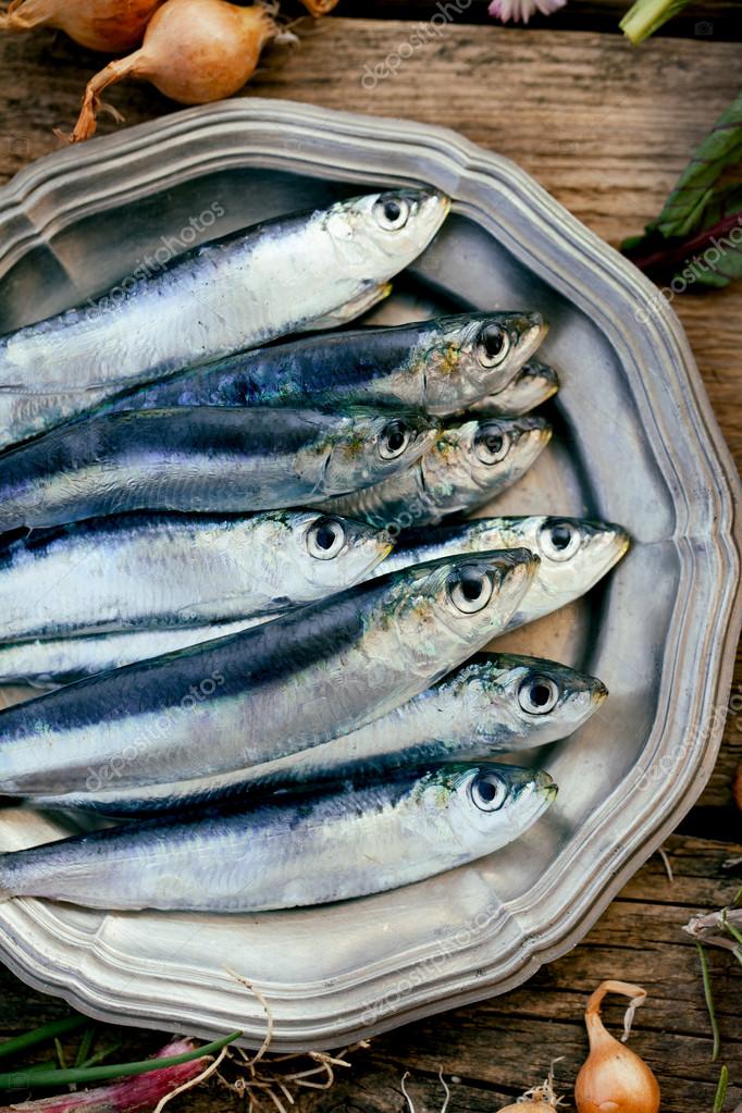 Fresh sardines — Stock Photo © mythja 70159581