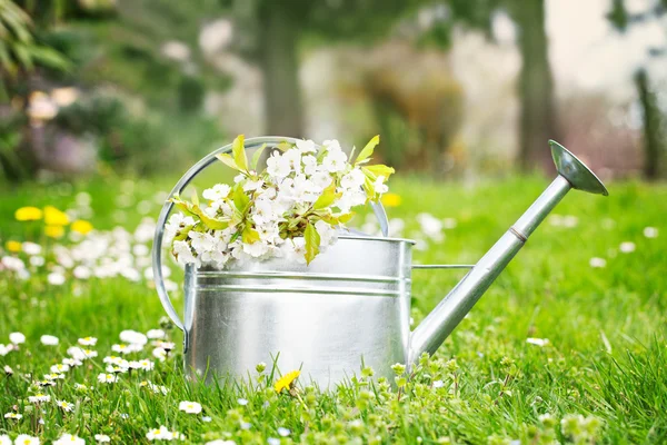 Giardino primaverile — Foto Stock