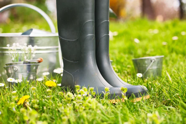 Jardín de primavera — Foto de Stock