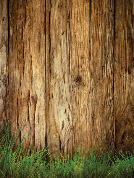 Fundo da primavera — Fotografia de Stock