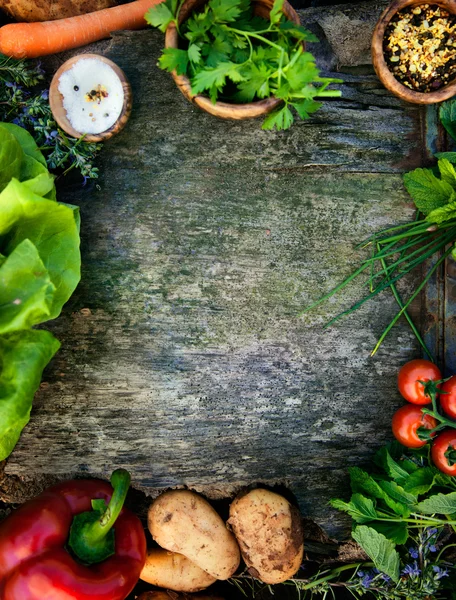 Fondo alimentario — Foto de Stock