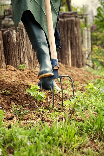 Frühjahrsgartenkonzept. — Stockfoto