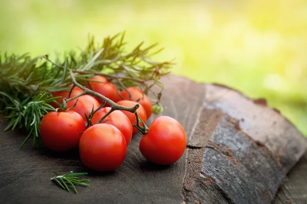 Tomaten — Stockfoto