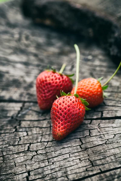 Aardbeien — Stockfoto