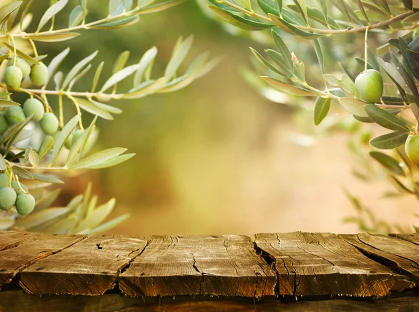 Olive trees with tabletop — Stock Photo, Image