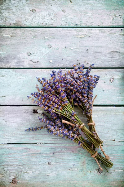 Lavendel — Stockfoto