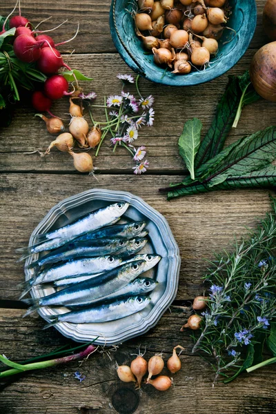 Sardine fresche — Foto Stock