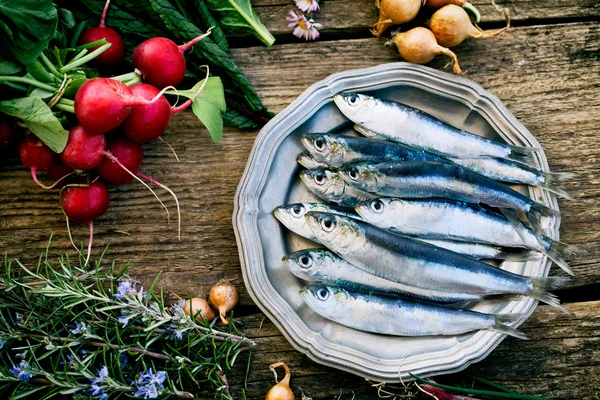 Sardine fresche — Foto Stock