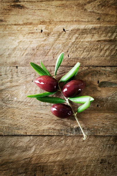 Aceitunas en rama — Foto de Stock