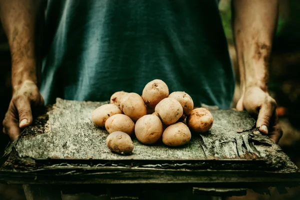 Rolnik z ziemniakami — Zdjęcie stockowe