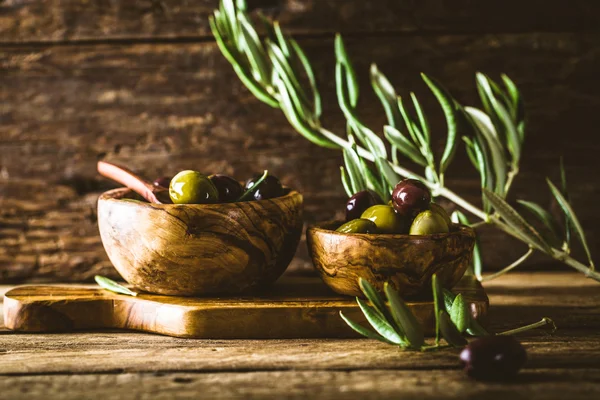 Olive su ramo — Foto Stock