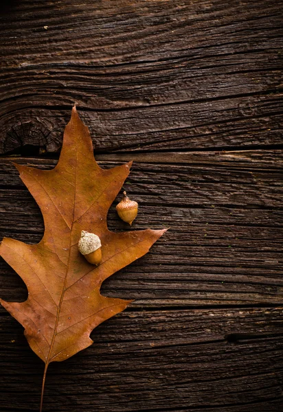 Sfondo autunno — Foto Stock