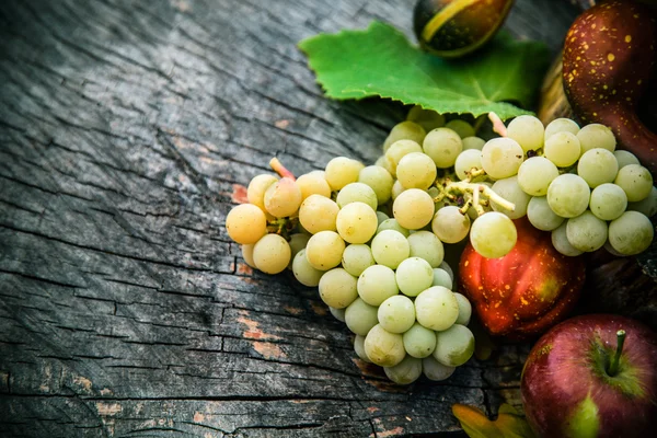 Fruta de otoño —  Fotos de Stock